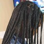 Small/smedium  two strand twist with SCALP MASSAGE ONLY