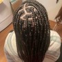 Box Braids/Knotless