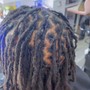 Starter Dreadlocks