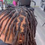 Starter Dreadlocks