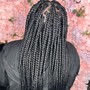 Medium Tree Braids