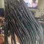 Havana/Senegalese/marley  Twists