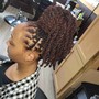 Starter Locs