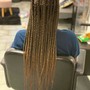 Feed - In Braids