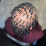 Starter Locs