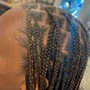 Large Mens 2 Strand Twists