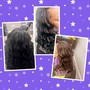 Crochet Braids with Alopecia/Thinning hair