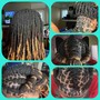 Starter Locs