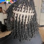 Two Strand Twists