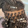 Starter locs