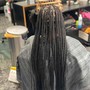 medium knottless  Braids