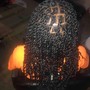 Small Passion Twists (up to waist length)