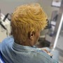 Olaplex Treatment