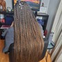 Straight back feed in Stitch Braids (8-10)