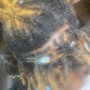 Loc retwist