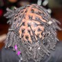 Starter Locs