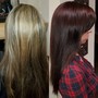 Spot Partial Highlights