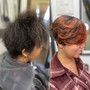 Single Process Color, Shampoo and Style