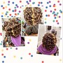 Yanky or small Crochet Braids