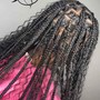 Medium Knotless Braids W/ Hair Included