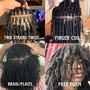 Poetic Justice Braids