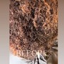 Root Touch Up