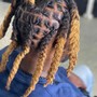 Starter Dreadlocks