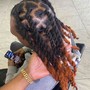 Starter Dreadlocks