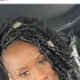 Natural Twists/Mini Twist