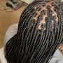 Single Box Braids