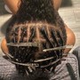 Starter Locs