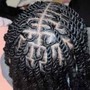 Feed in braids