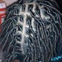 Starter Locs