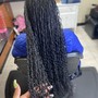 Mini Passion Twists