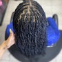 Mini Passion Twists