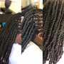 Havana Twists