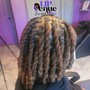 Extended 2 strand twist (mid back or shorter)