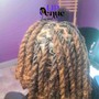 Extended 2 strand twist (mid back or shorter)