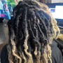 Starter Locs