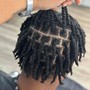 Kinky Twist (shaved back and sides)