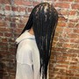 Medium knotless Braids (Bra length)