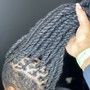 Natural Hair Two Strand Twist