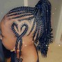 Kid's Braids in ponytail