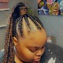 small braids in ponytail