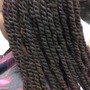 Poetic Justice Braids