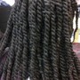 Poetic Justice Braids