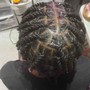 Loc Re-twist & style