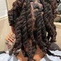 Tree Braids