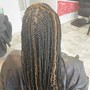 Knotless Box Braids Medium