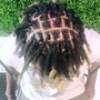 Starter Locs - Neck Length